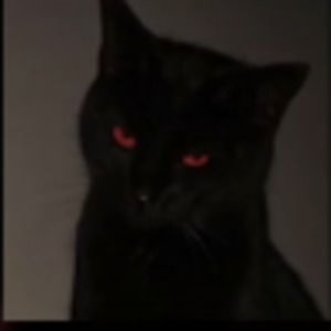 Meet your Posher, Jaydon